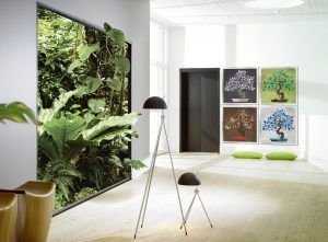 Naturae Alberi VetroVivo